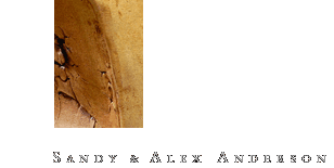 Sandy and Alex Anderson